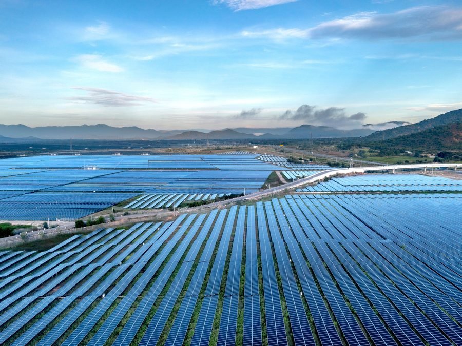 Solar panel farm at golden hour
